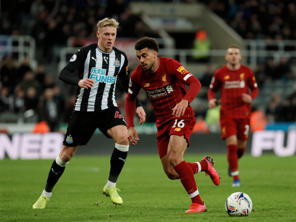 志多以盾形 志多以盾形